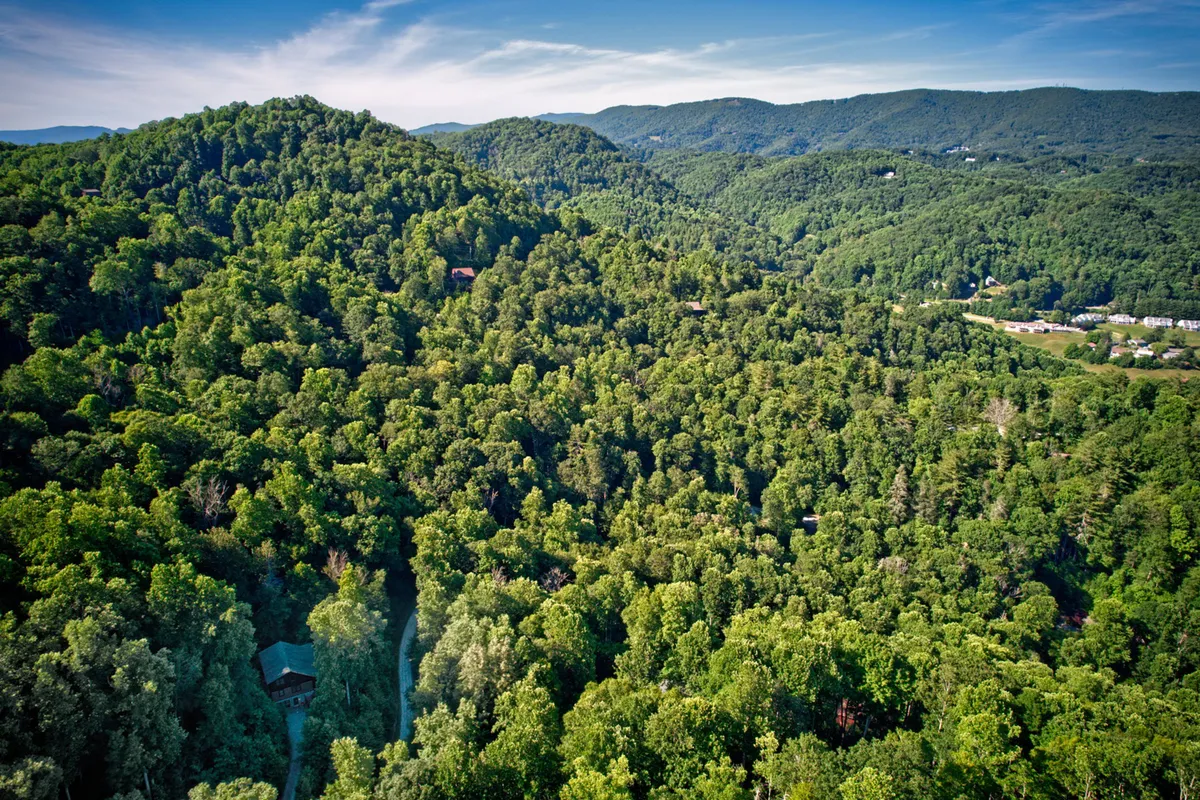 Panoramic views of lush trees, rolling hills, and distant Blue Ridge mountains fill the horizon. The serene setting is ideal for birdwatching, capturing sunrises, or simply soaking in the vast natural beauty.