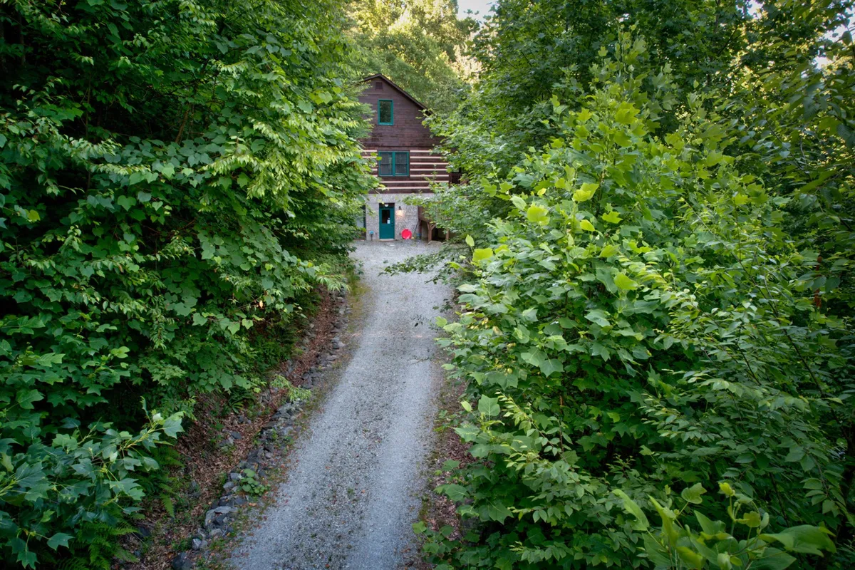 This exterior shot features Uncle John’s Cabin nestled among lush greenery, with a path leading up to the home. The inviting porch, ample surrounding land, and tranquil atmosphere immediately signal a dog-friendly, adventure-ready environment. The natural setting is visible, with open space for pets to roam and families to relax.